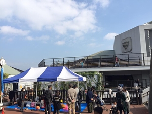 「動物園まつり」の画像